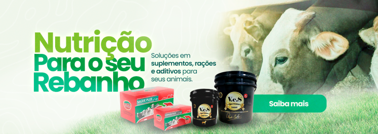 Banner promocional
