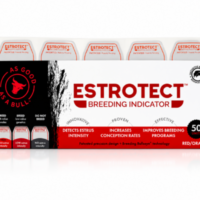 DETECTOR DE CIO ESTROTECT
