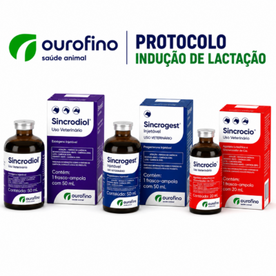 PROTOCOLO INDUÇÃO DE LACTAÇÃO